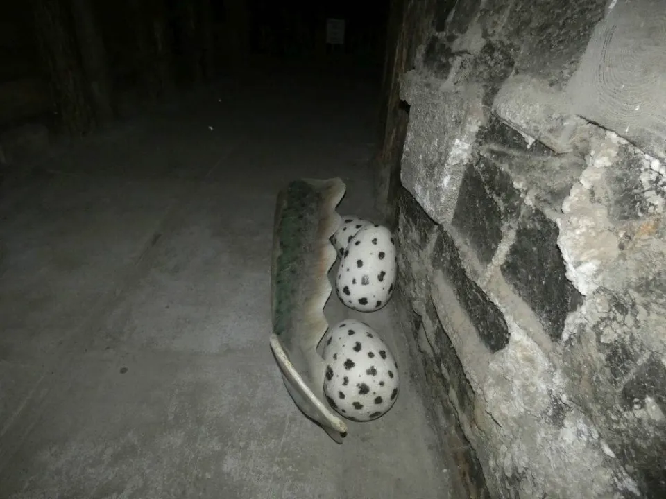 Wieliczka — zdjęcie 8