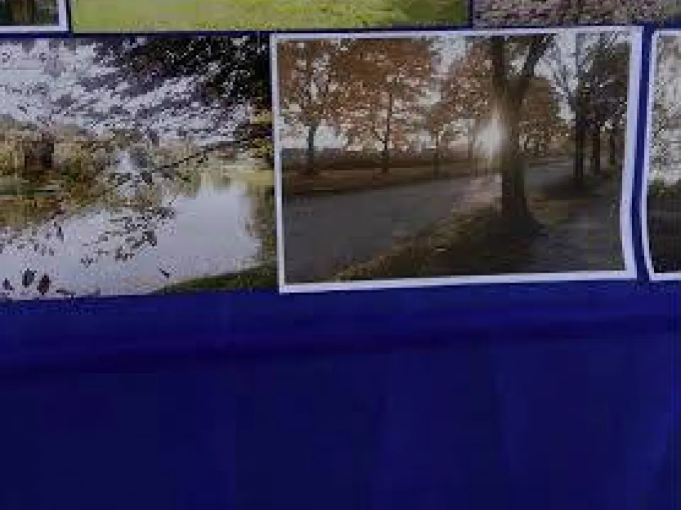 konkurs fotograficzny1 — zdjęcie 1