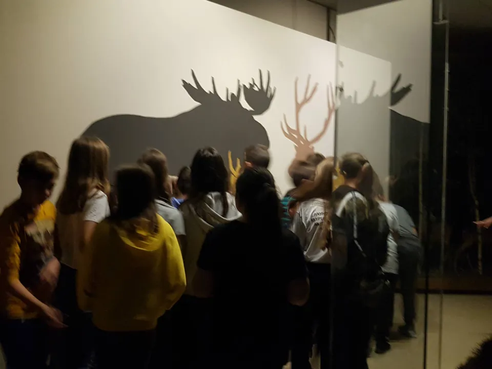 6a w Ośrodku Edukacji Leśnej — zdjęcie 3