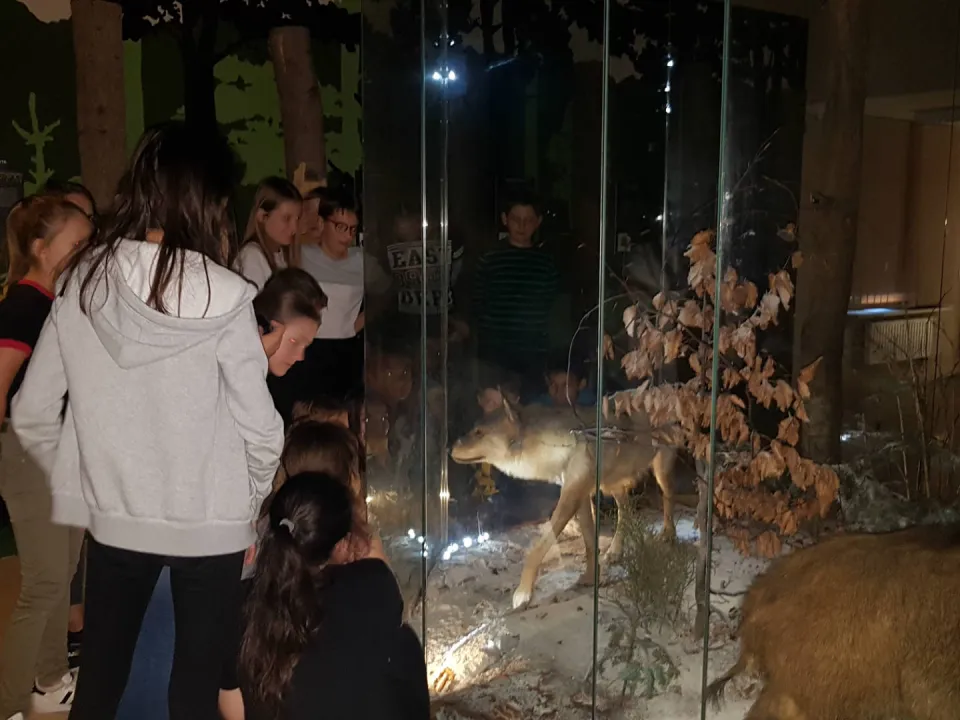 6a w Ośrodku Edukacji Leśnej — zdjęcie 4