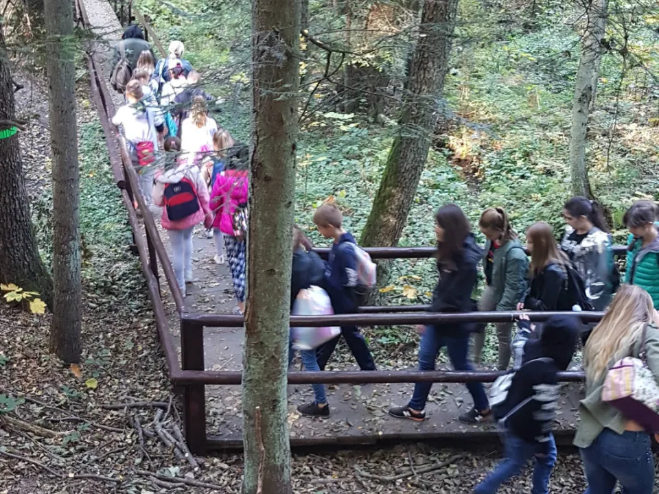 6a w Ośrodku Edukacji Leśnej — zdjęcie 5