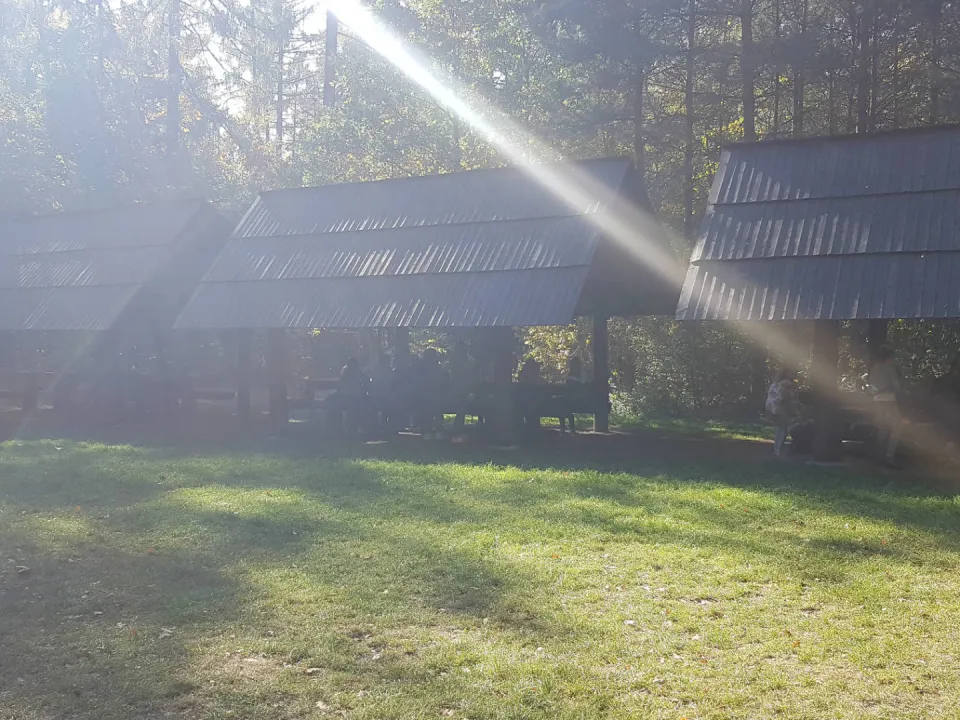 6a w Ośrodku Edukacji Leśnej — zdjęcie 7