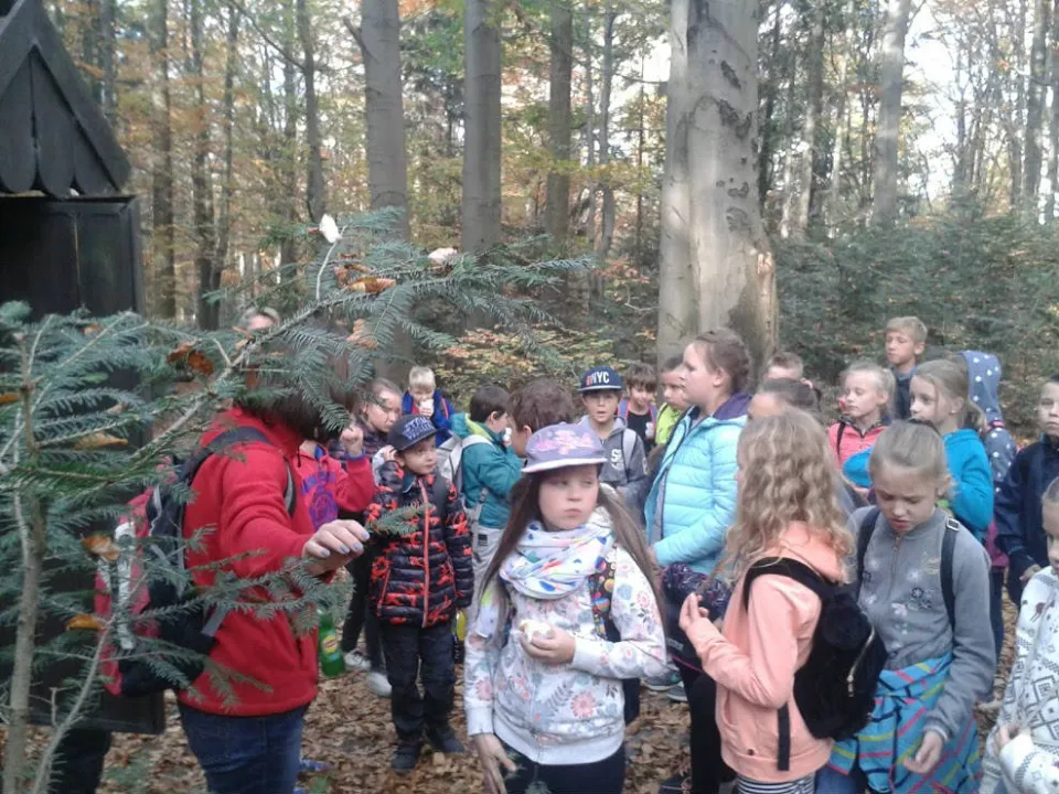 4a i 4c na Świętym Krzyżu — zdjęcie 1