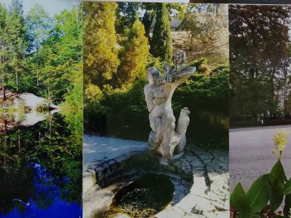 Konkurs Fotograficzny — zdjęcie 1