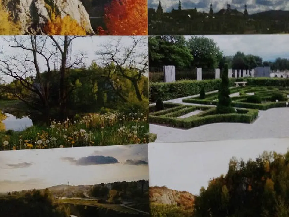 Konkurs Fotograficzny — zdjęcie 5