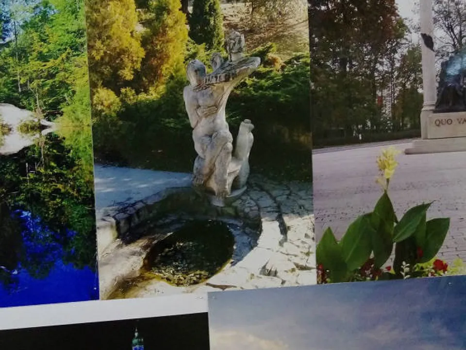 Konkurs Fotograficzny — zdjęcie 6