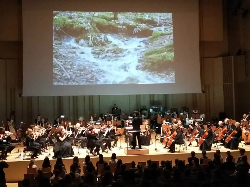 5c w filharmonii — zdjęcie 2