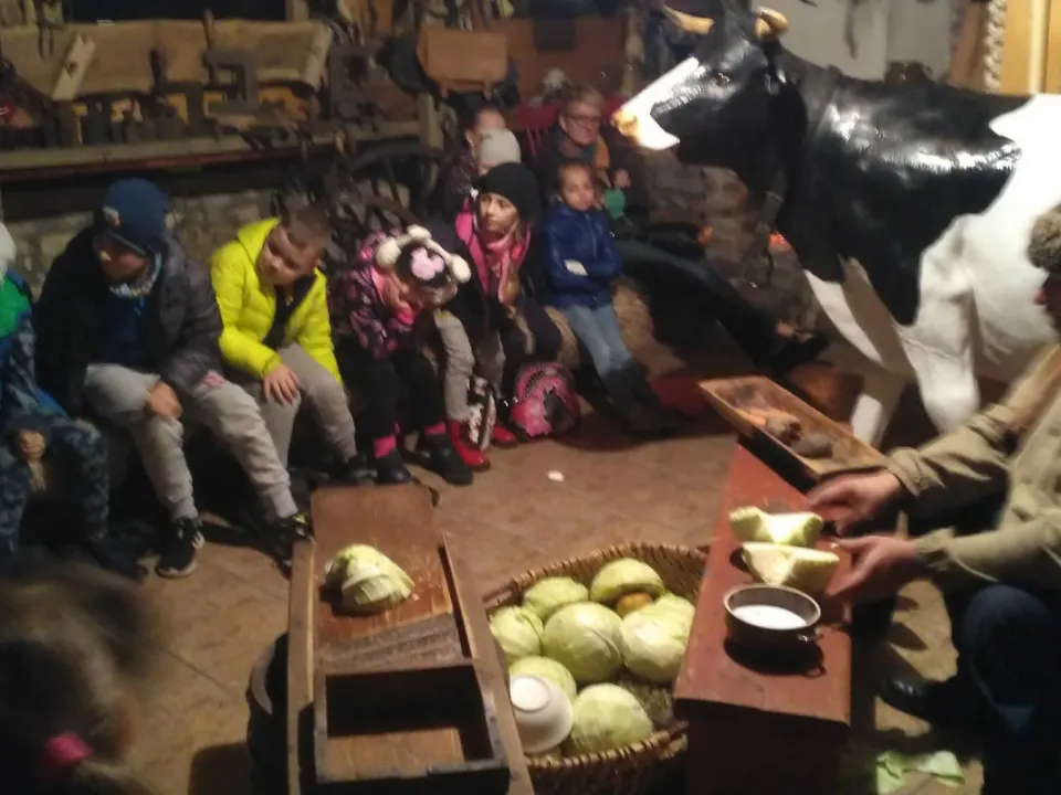 2a i kapusta — zdjęcie 6
