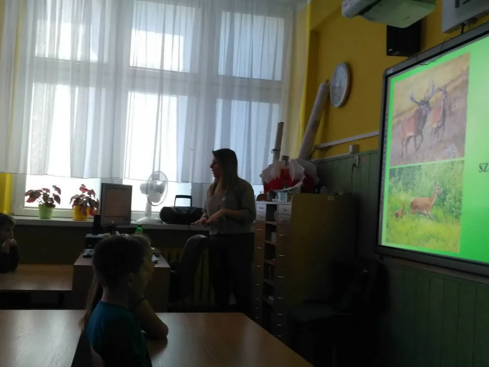 2a i leśnik — zdjęcie 4