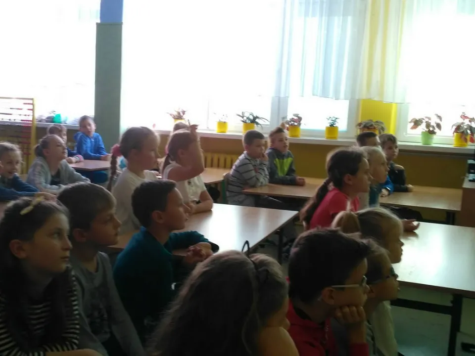 2a i leśnik — zdjęcie 5