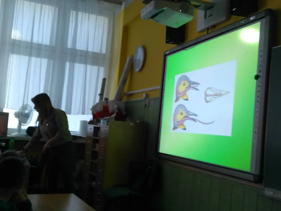 2a i leśnik — zdjęcie 6