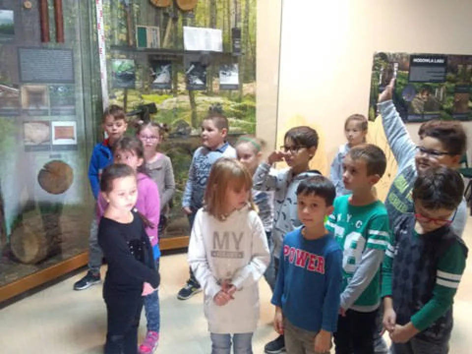 Klasa 1c w Nadleśnictwie Kielce — zdjęcie 1