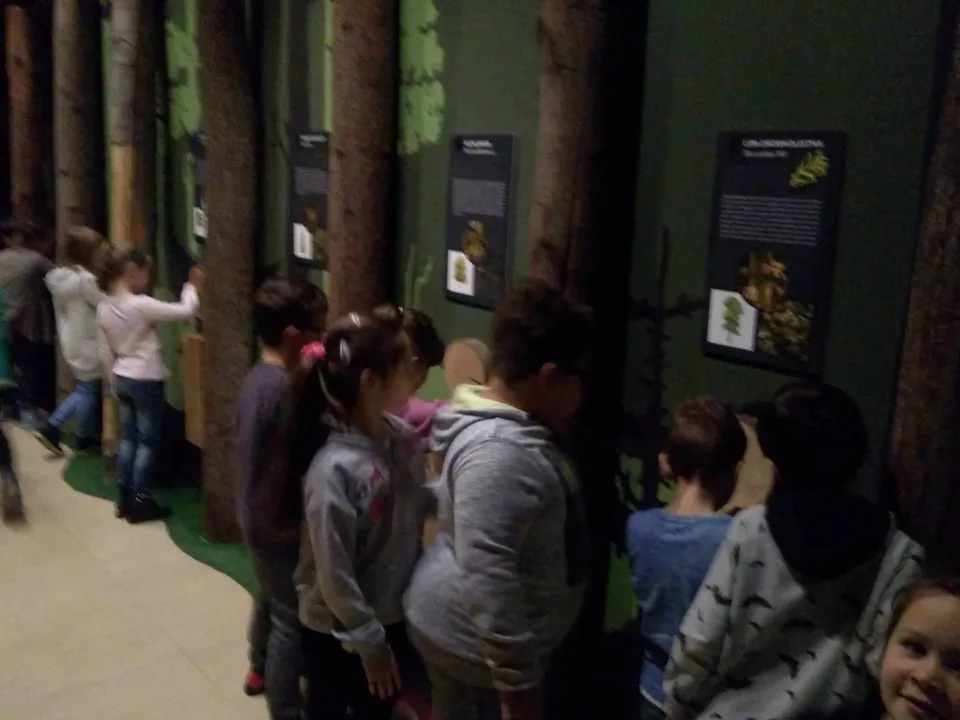 Klasa 1c w Nadleśnictwie Kielce — zdjęcie 5