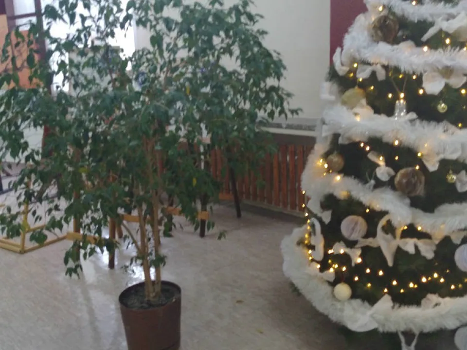 W świątecznym nastroju — zdjęcie 5