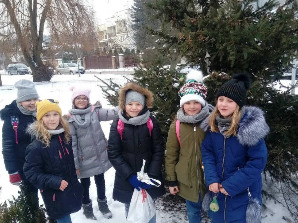 Zimowe dokarmianie ptaków — zdjęcie 1