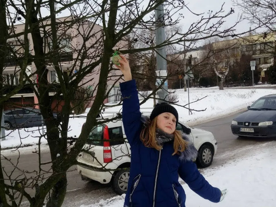 Zimowe dokarmianie ptaków — zdjęcie 4