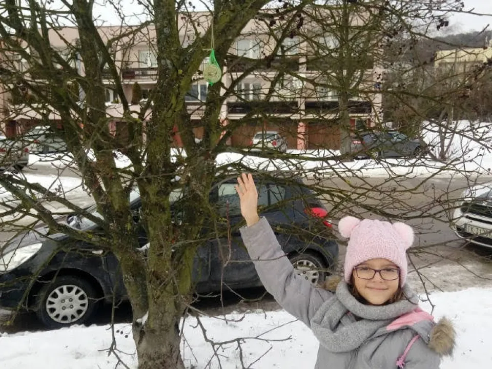 Zimowe dokarmianie ptaków — zdjęcie 6