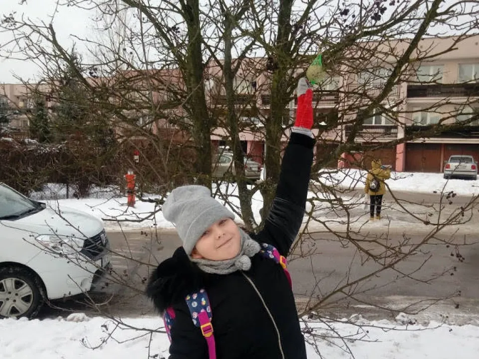 Zimowe dokarmianie ptaków — zdjęcie 7