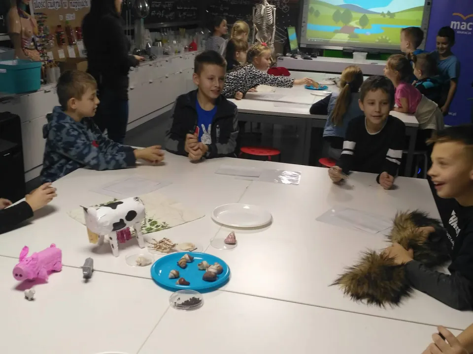 Siła pieniądza — zdjęcie 8