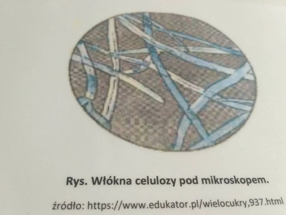 Coś za coś – siła pieniądza II — zdjęcie 10