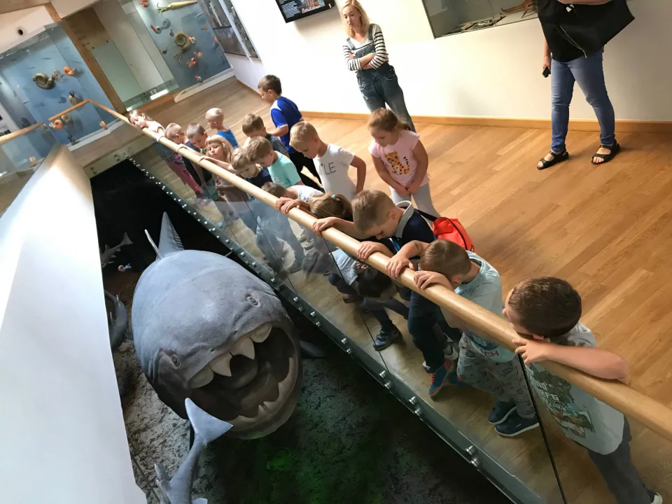 Klasa 0a w Geoparku — zdjęcie 4