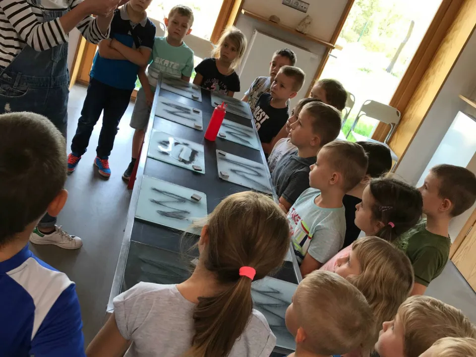 Klasa 0a w Geoparku — zdjęcie 8