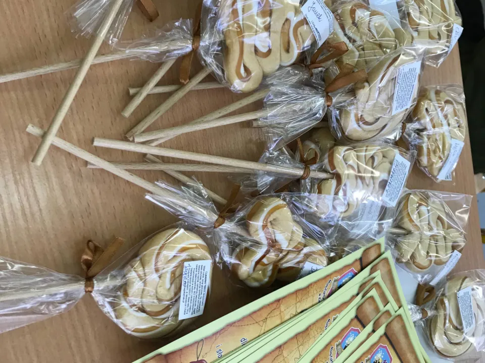Klasa 0a w "Magii Karmelu" — zdjęcie 11