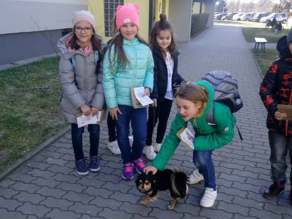 Posprzątaj po swoim pupilku! — zdjęcie 9