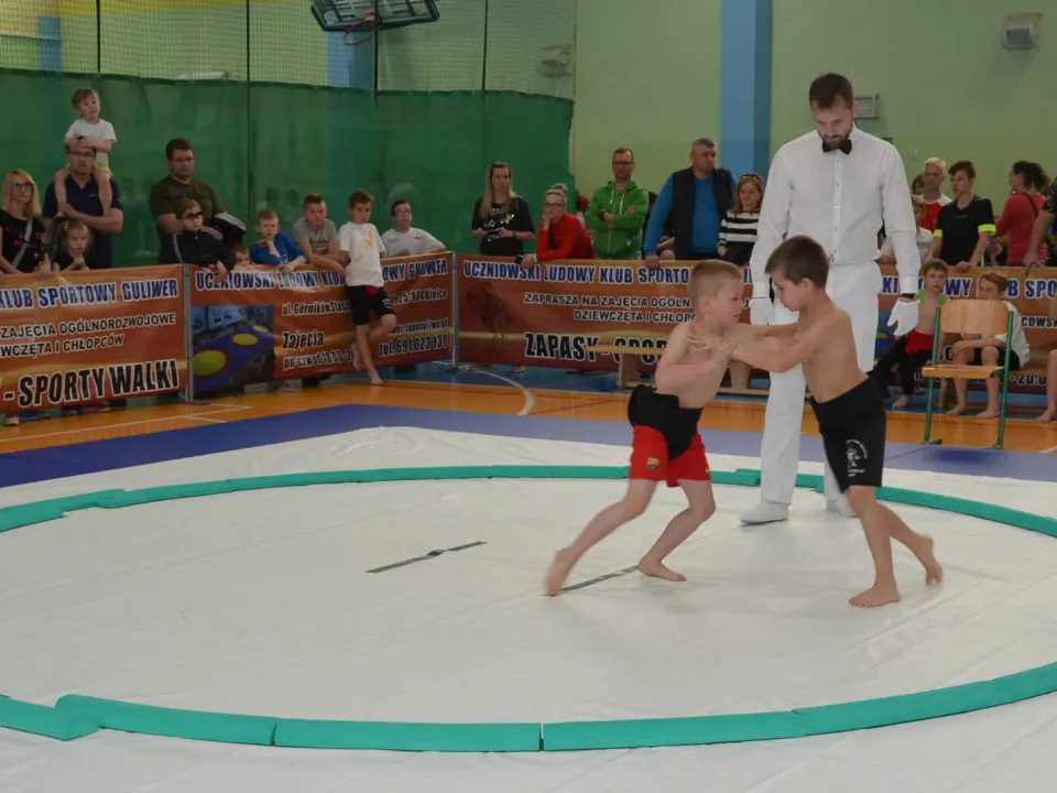 Sumo — zdjęcie 17