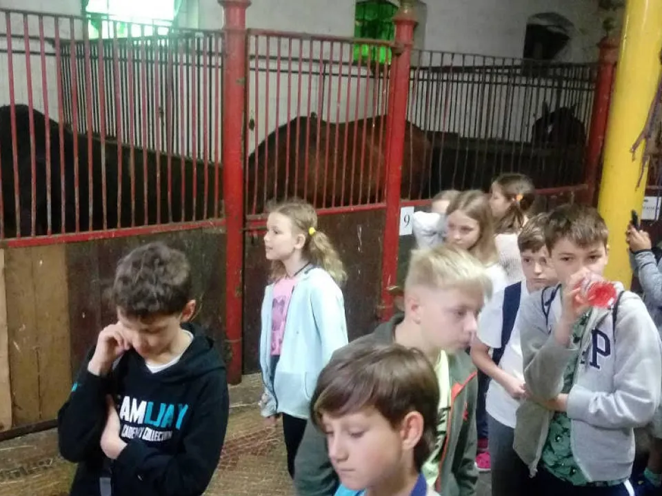 Zielona szkoła kl 4a i 4c Zamek w Mosznej — zdjęcie 7