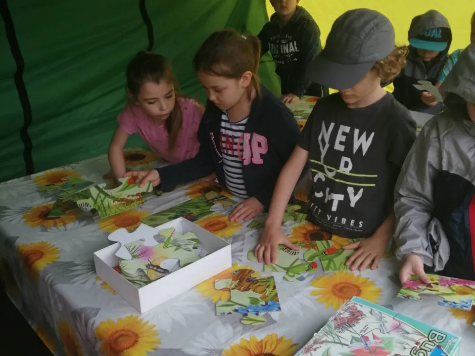 Ia w pasiece edukacyjnej "Pszczółka" — zdjęcie 23