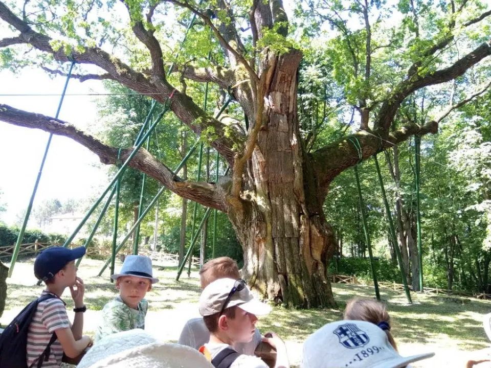 Perzowa Góra — zdjęcie 16