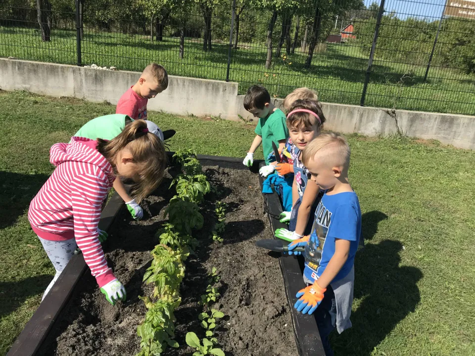 1a w ogrodzie botanicznym — zdjęcie 5