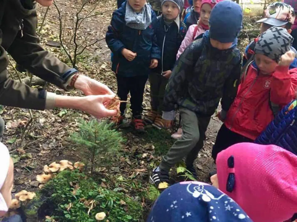 Wycieczka do Nadleśnictwa w Kielcach — zdjęcie 4