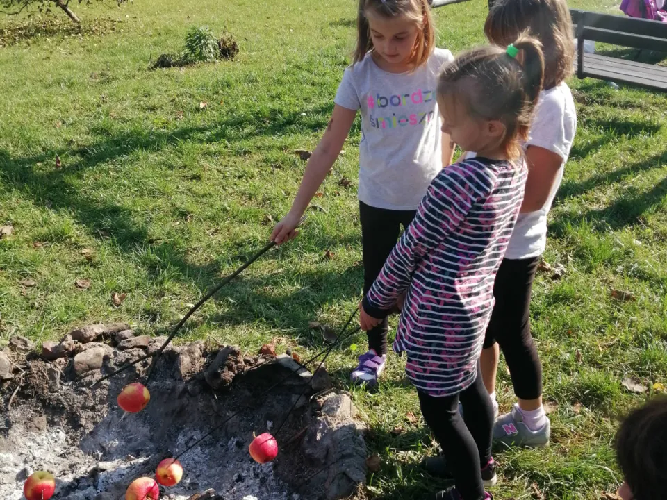 Święto Pieczonego Ziemniaka — zdjęcie 1