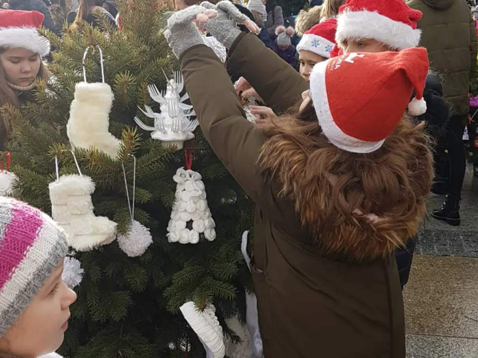Choinka — zdjęcie 5