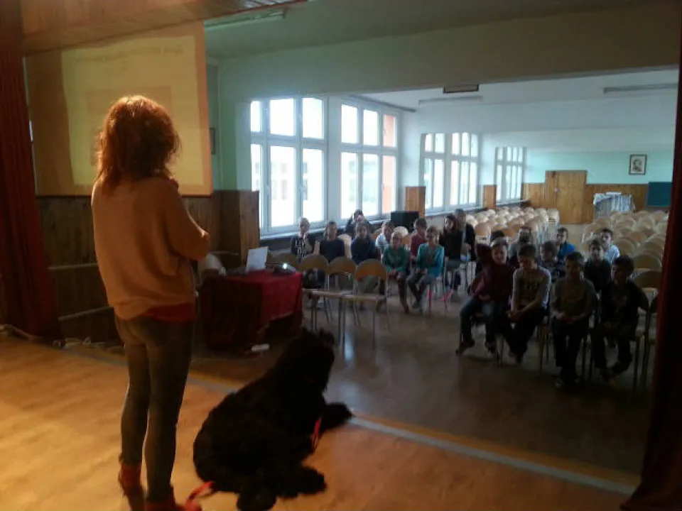 Spotkanie z psem IVa — zdjęcie 9