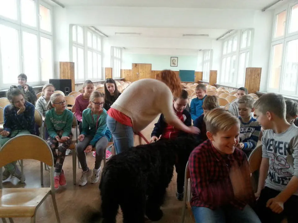 Spotkanie z psem IVa — zdjęcie 10
