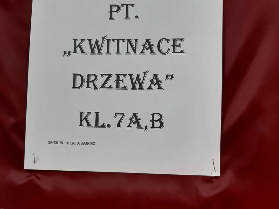 Kwitnące drzewka kl. 7a,b — zdjęcie 1