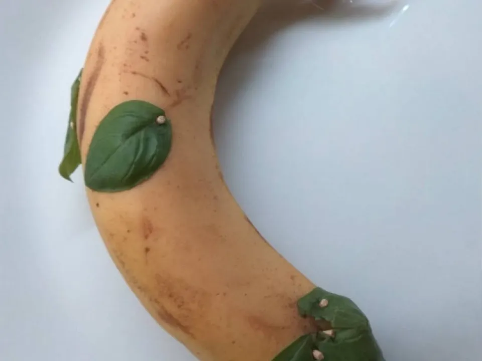 Food art — zdjęcie 28