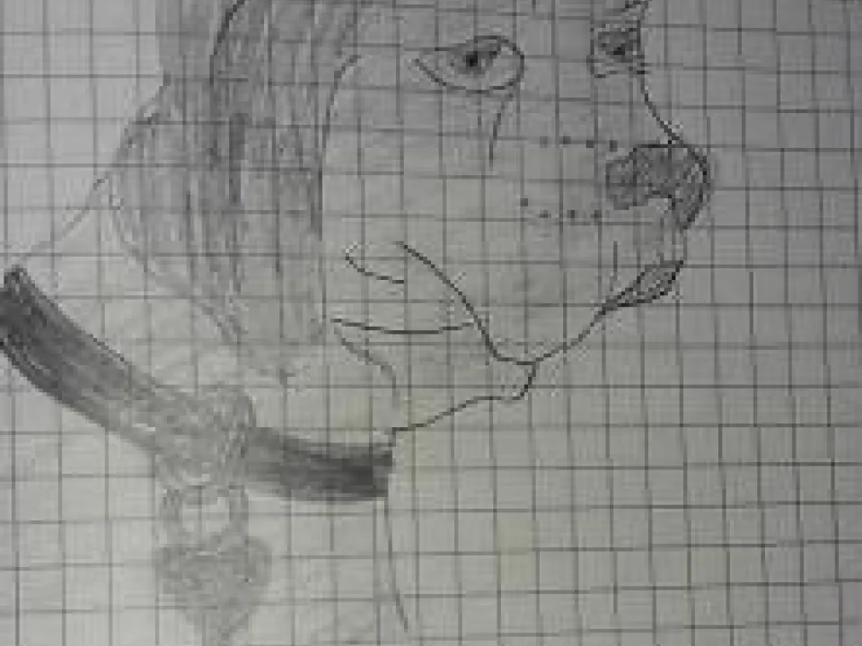 Szuka w pigułce — zdjęcie 10