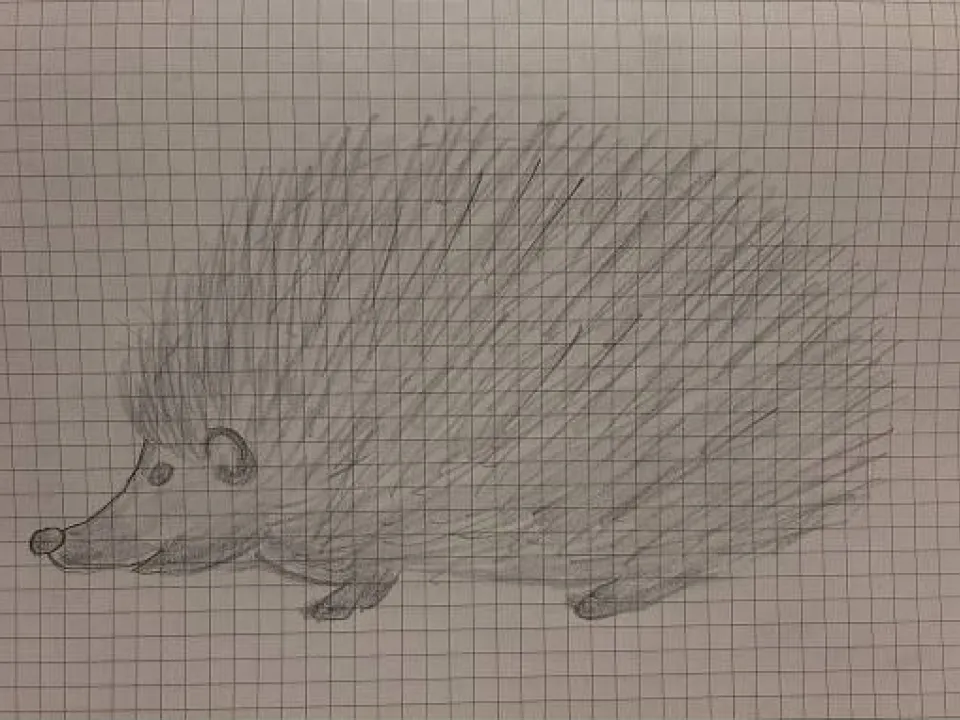 Szuka w pigułce — zdjęcie 13