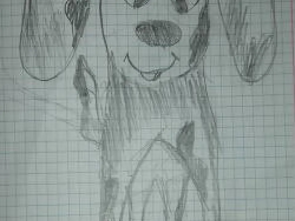 Szuka w pigułce — zdjęcie 25