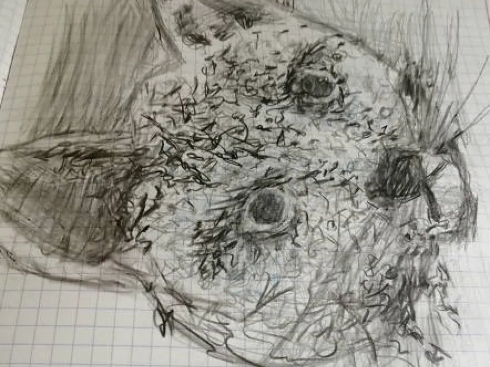 Szuka w pigułce — zdjęcie 38