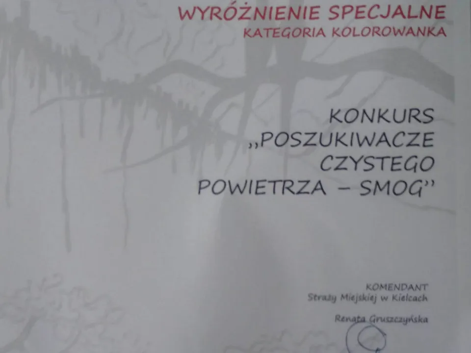 Konkurs plastyczny — zdjęcie 8