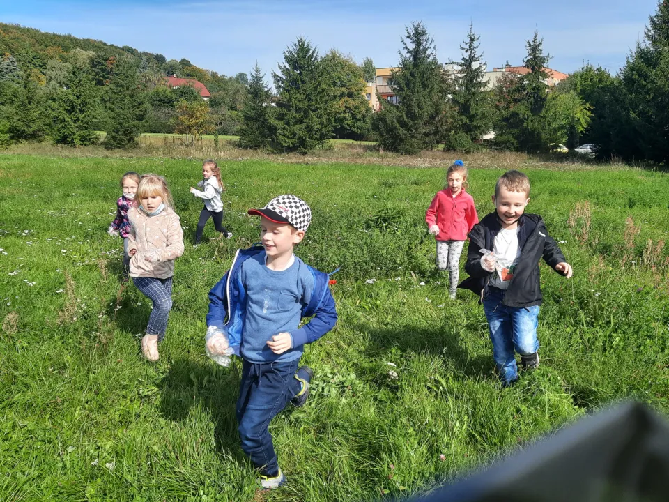 Sprzątanie świata — zdjęcie 5