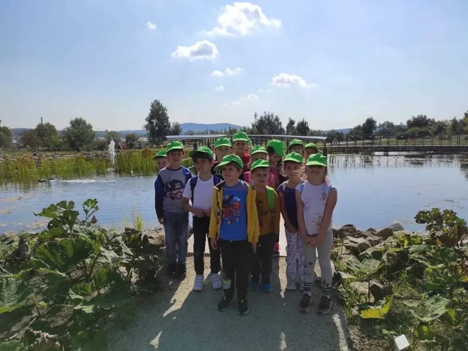 delfiny - Ogród botaniczny — zdjęcie 2