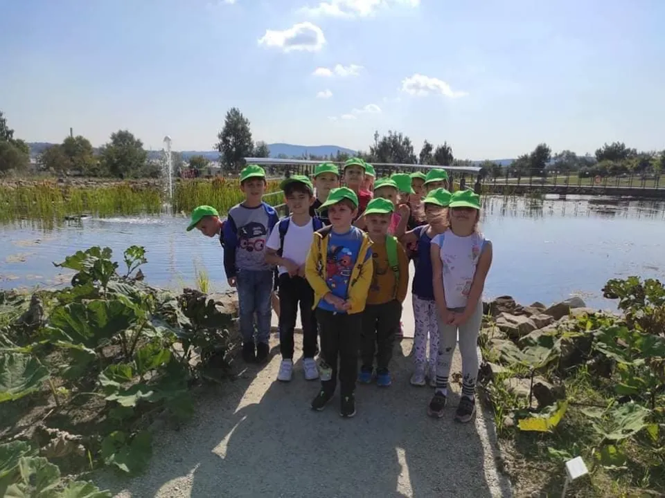 delfiny - Ogród botaniczny — zdjęcie 3