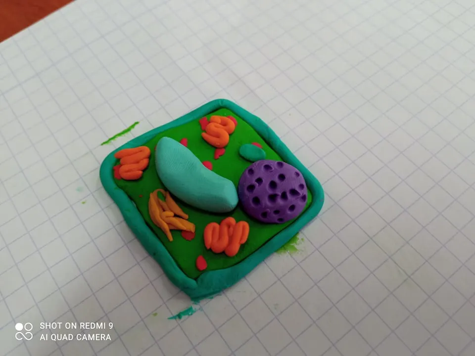 Lekcja biologii — zdjęcie 1