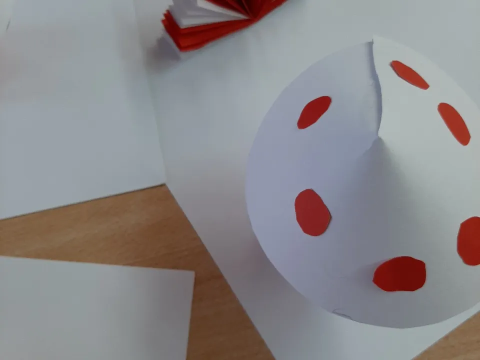 W kolorach biało-czerwonych — zdjęcie 1